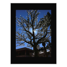 Árbol eléctrico fotografias