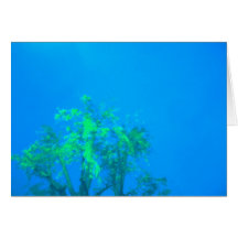 árbol en azul felicitacion 