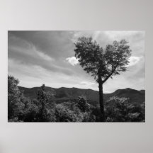 Árbol en forma de corazón impresiones