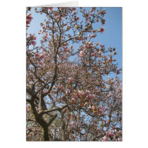 Árbol en la floración tarjetas