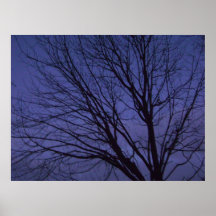 árbol en la oscuridad impresiones