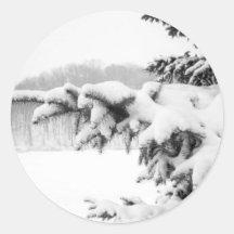 árbol en nieve etiqueta redonda