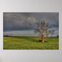Árbol en un campo por el precio de Seth Impresiones
