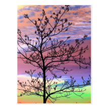 Árbol estéril del cielo del arco iris postales
