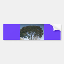 árbol etiqueta de parachoque