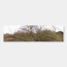 Árbol Etiqueta De Parachoque