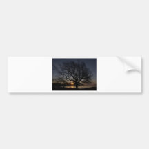 Árbol Etiqueta De Parachoque