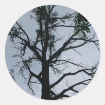 árbol etiquetas redondas