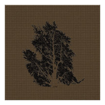 árbol foto