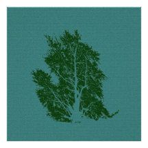 árbol fotografía  