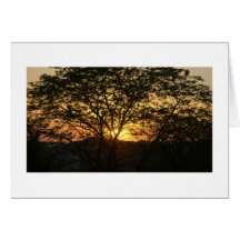 Árbol grande en la puesta del sol tarjeton