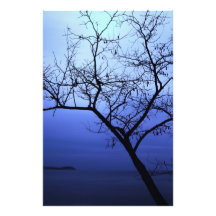 árbol impresión fotográfica