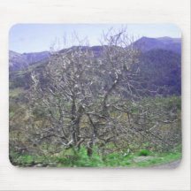árbol interesante alfombrillas de ratones