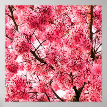 Árbol japonés de la flor de cerezo (2013) posters