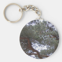 Árbol Llavero