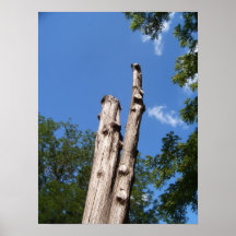 árbol lleno de protuberancias poster