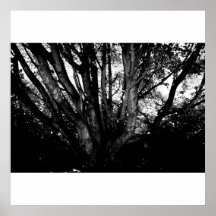 Árbol monocromático BRITÁNICO Posters