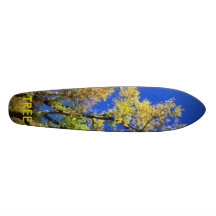ÁRBOL MONOPATÍN PERSONALIZADO