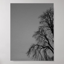 Árbol oscuro poster