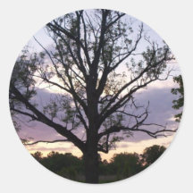 árbol pegatina