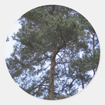 Árbol Pegatinas