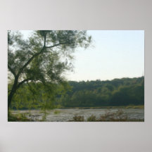 Árbol por el poster de la pintura de la foto del p