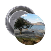Árbol por la orilla pin