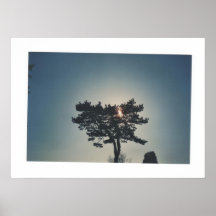 árbol poster