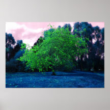 Árbol psicodélico posters