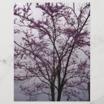 Árbol rosado tarjetas informativas