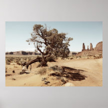 Árbol seco en el desierto de Arizona Posters