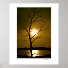 árbol seco impresiones