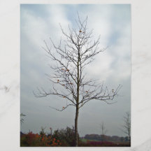 Árbol sin las hojas contra el cielo azul flyer a todo color