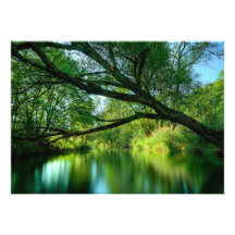 Árbol sobre el lago comunicados personalizados