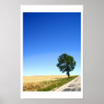 Árbol solitario posters