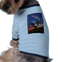 Árbol solitario ropa para mascota