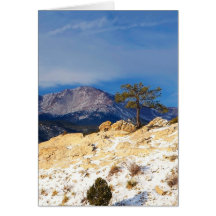 Árbol solitario tarjeta