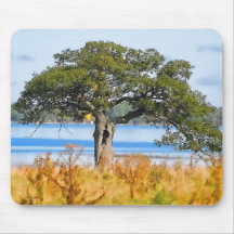 Árbol solo Mousepad Alfombrillas De Raton