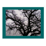 Árbol Tarjetas Postales