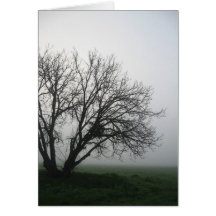 Árbol Tarjeton