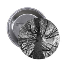 Árbol viejo de Abtract Pins