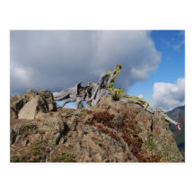 árbol viejo en una montaña postal