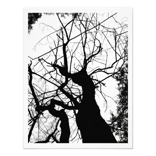 ÁRBOL WEBBY BLANCO Y NEGRO ANUNCIO PERSONALIZADO