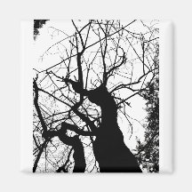 ÁRBOL WEBBY BLANCO Y NEGRO IMÁN PARA FRIGORIFICO