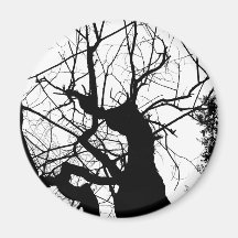 ÁRBOL WEBBY BLANCO Y NEGRO IMANES  