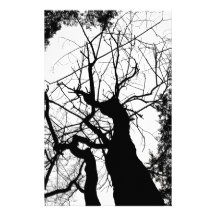 ÁRBOL WEBBY BLANCO Y NEGRO  PAPELERIA