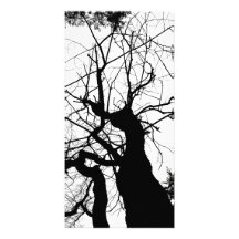 ÁRBOL WEBBY BLANCO Y NEGRO PLANTILLA PARA TARJETA DE FOTO