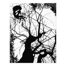 ÁRBOL WEBBY DE HADAS B&W INVITACIONES PERSONALES 