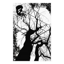 ÁRBOL WEBBY DE HADAS B&W PAPELERIA