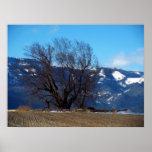 Árbol y montañas impresiones